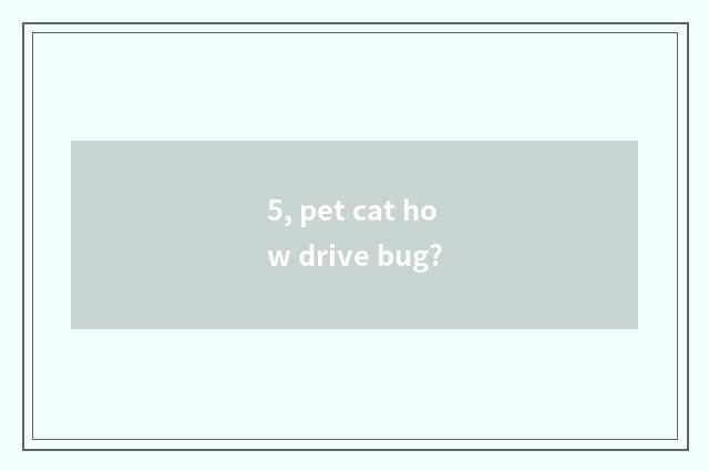 5, pet cat how drive bug?
