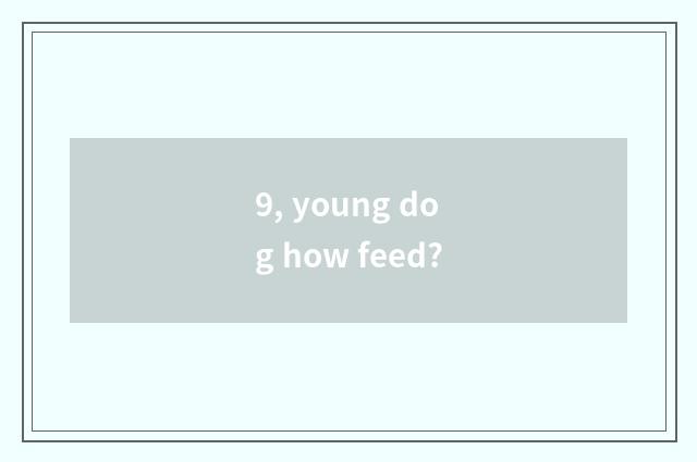 9, young dog how feed?
