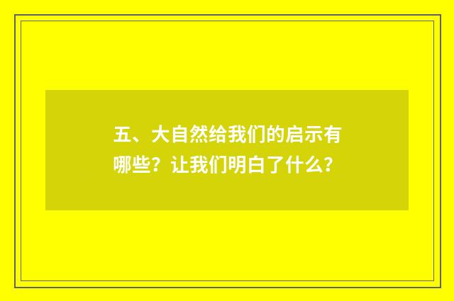 五、大自然给我们的启示有哪些?让我们明白了什么?