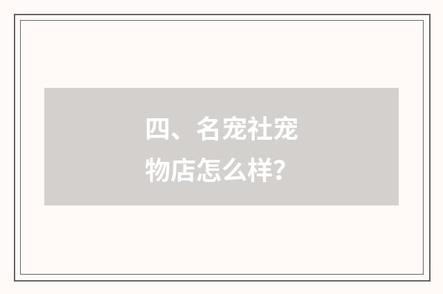 四、名宠社宠物店怎么样？