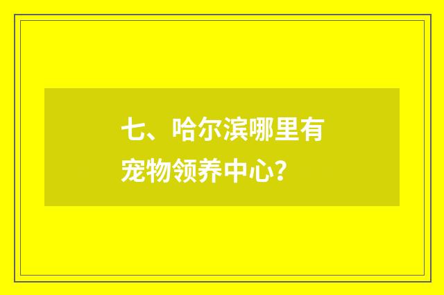 七、哈尔滨哪里有宠物领养中心?