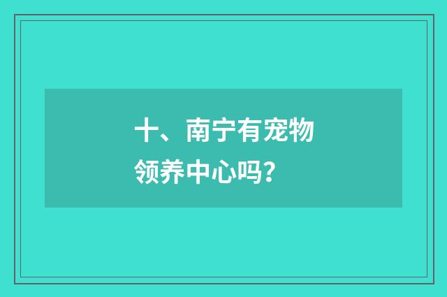 十、南宁有宠物领养中心吗?