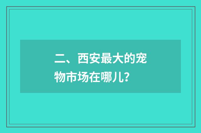 二、西安最大的宠物市场在哪儿？