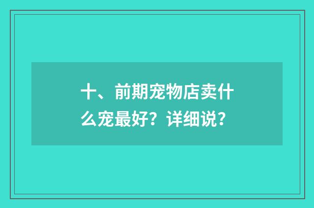 十、前期宠物店卖什么宠最好?详细说?