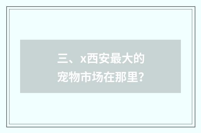 三、x西安最大的宠物市场在那里?