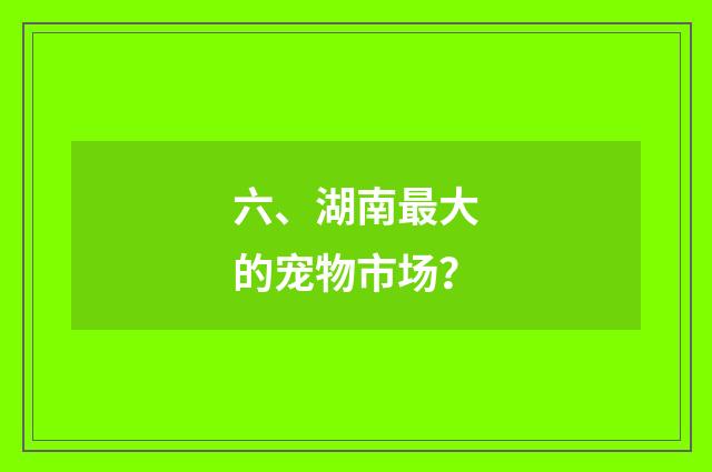 六、湖南最大的宠物市场?