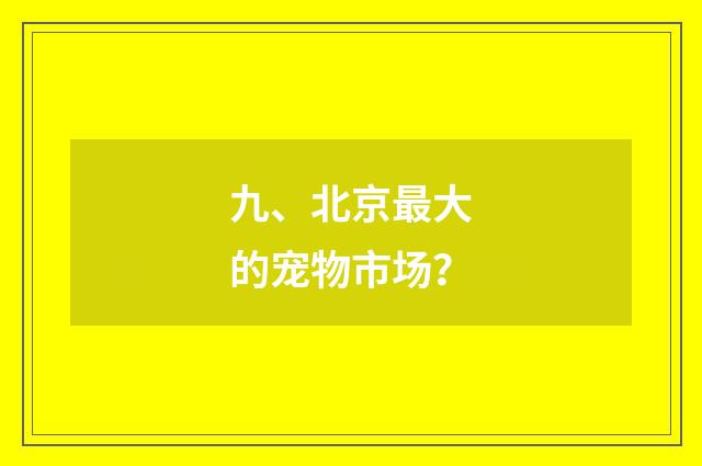 九、北京最大的宠物市场?