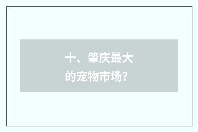 十、肇庆最大的宠物市场?