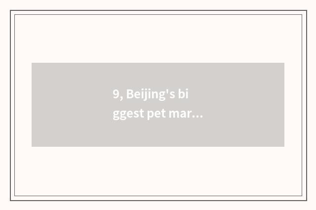 9, Beijing's biggest pet market?