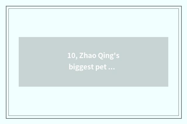 10, Zhao Qing's biggest pet market?