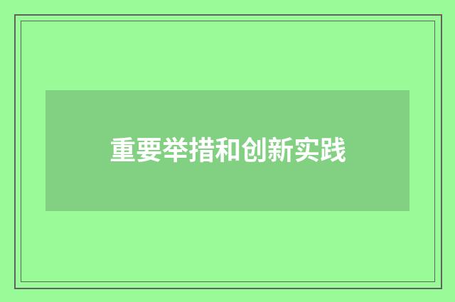 重要举措和创新实践