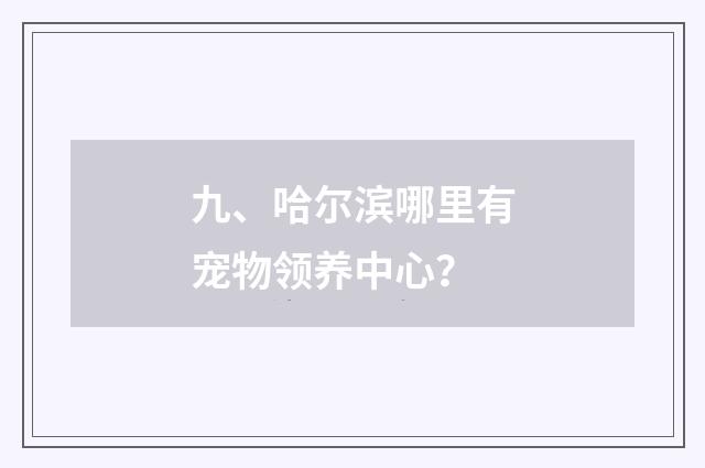九、哈尔滨哪里有宠物领养中心？