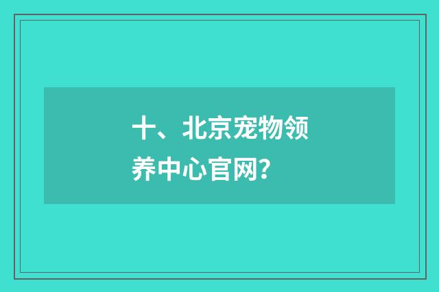 十、北京宠物领养中心官网?