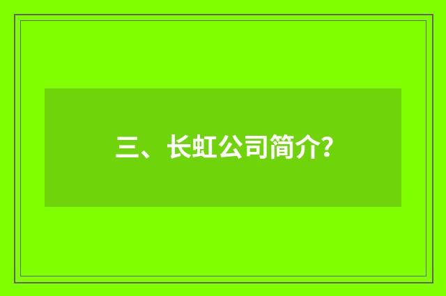 三、长虹公司简介?