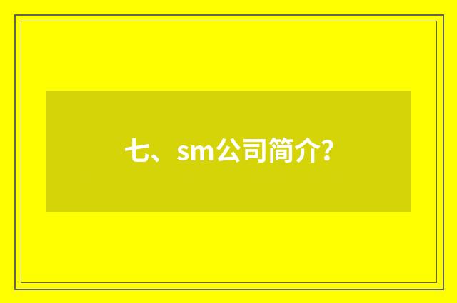 七、sm公司简介?