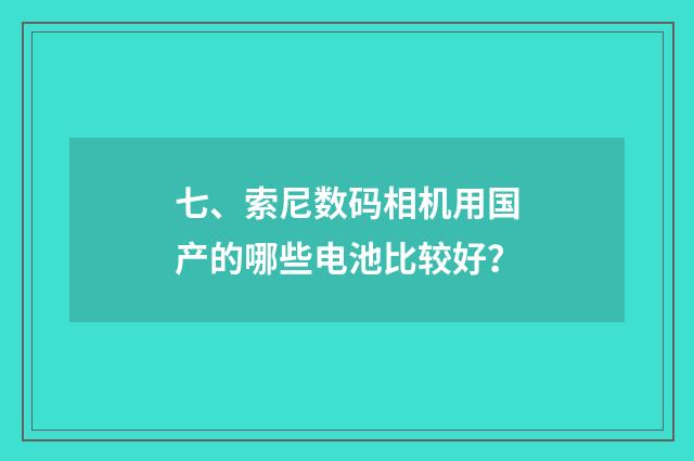 七、索尼数码相机用国产的哪些电池比较好？