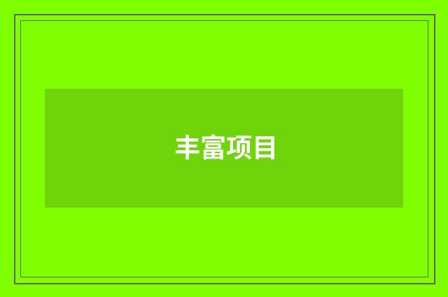 丰富项目