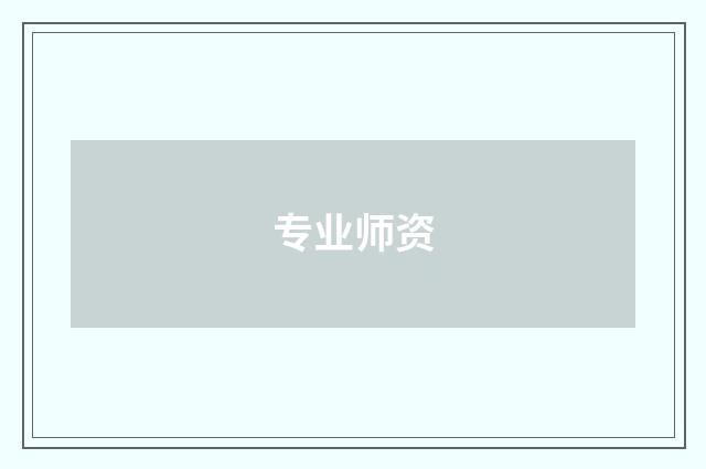 专业师资