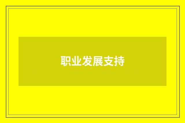 职业发展支持