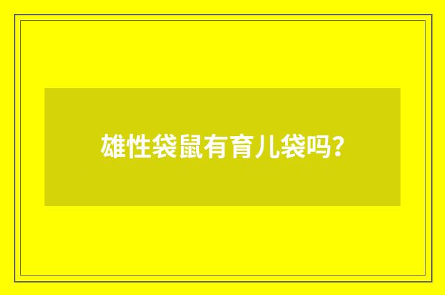 雄性袋鼠有育儿袋吗?