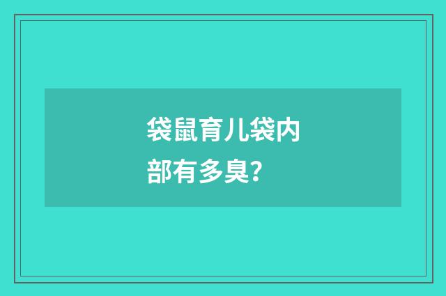 袋鼠育儿袋内部有多臭?