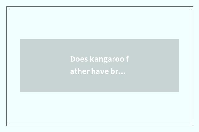 Does kangaroo father have brood pouch?