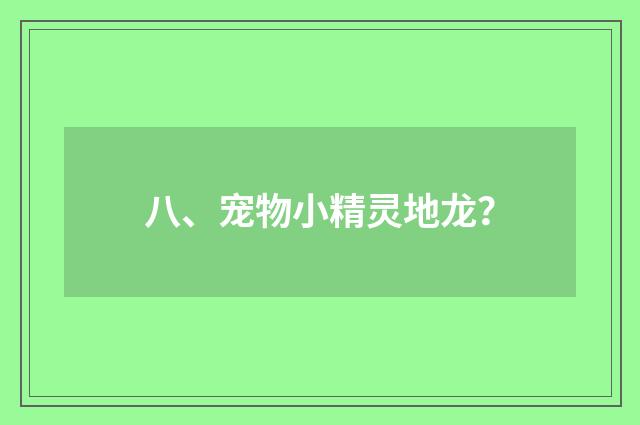 八、宠物小精灵地龙?