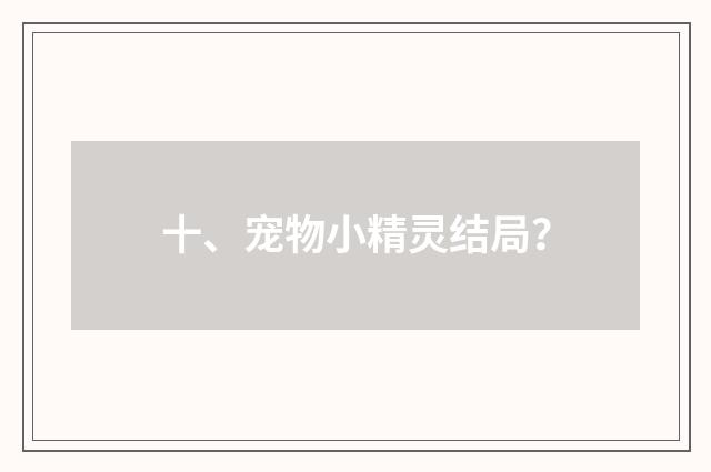 十、宠物小精灵结局?