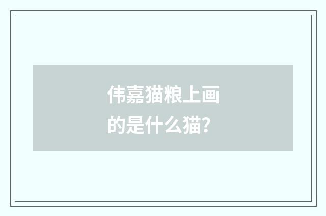 伟嘉猫粮上画的是什么猫？
