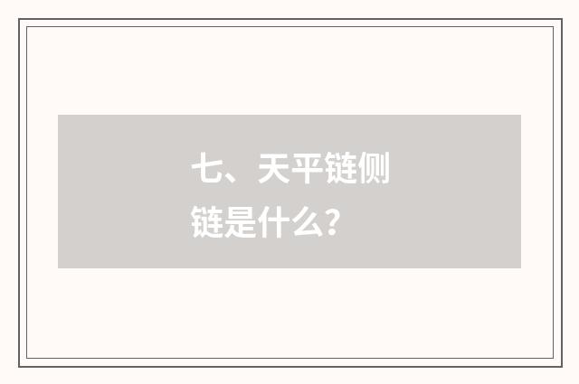 七、天平链侧链是什么?