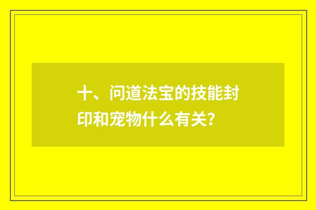 十、问道法宝的技能封印和宠物什么有关?