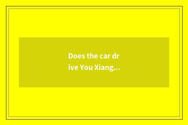 Does the car drive You Xiang careful strategy oneself?