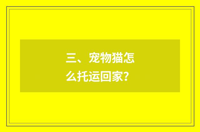三、宠物猫怎么托运回家？