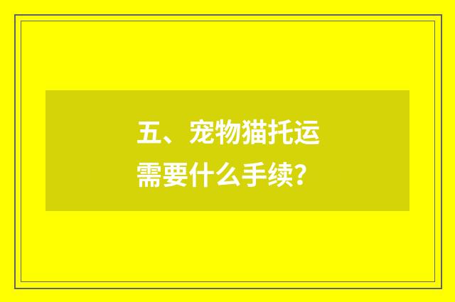 五、宠物猫托运需要什么手续？