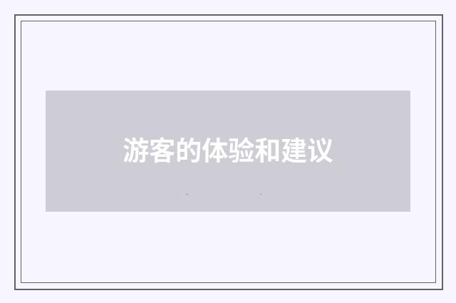 游客的体验和建议