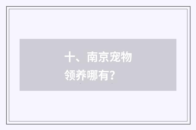 十、南京宠物领养哪有?