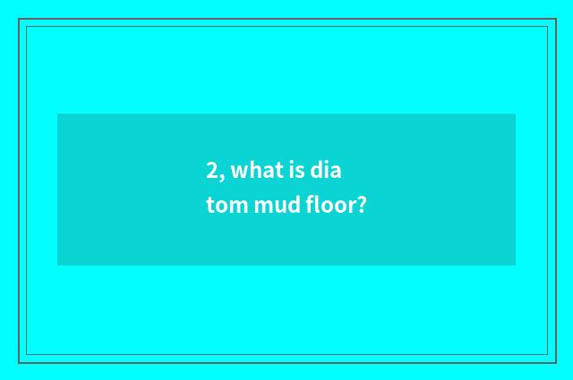 2, what is diatom mud floor?