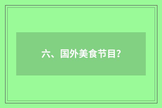 六、国外美食节目?