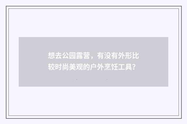 想去公园露营，有没有外形比较时尚美观的户外烹饪工具？