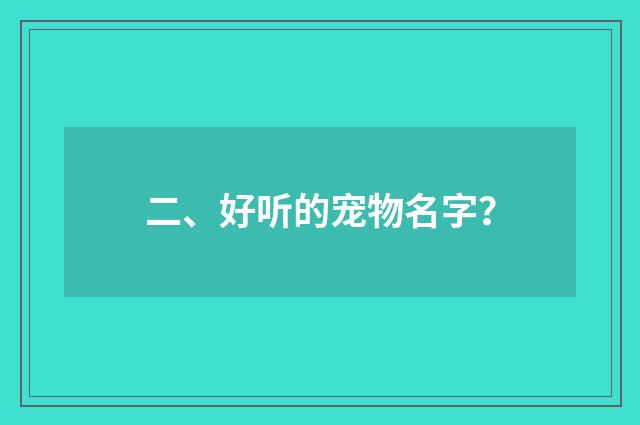 二、好听的宠物名字？