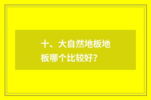 十、大自然地板地板哪个比较好？