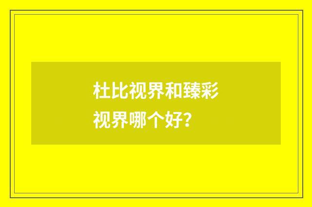 杜比视界和臻彩视界哪个好?