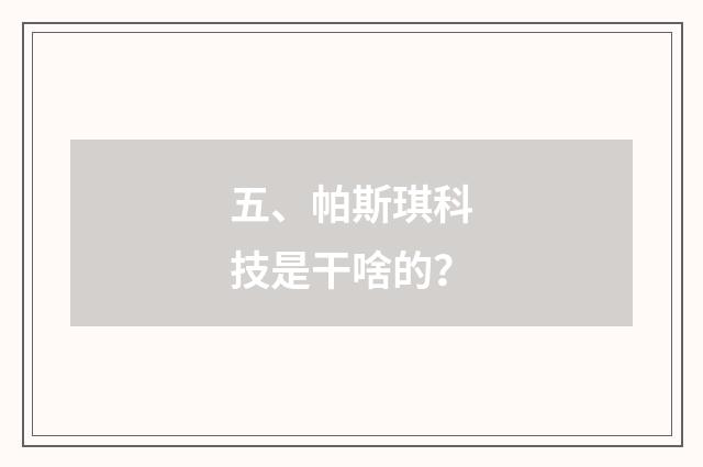 五、帕斯琪科技是干啥的?