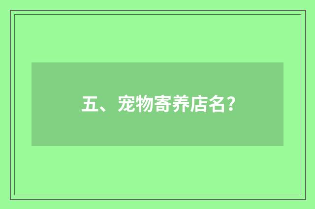五、宠物寄养店名？