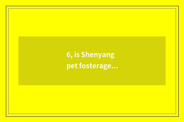 6, is Shenyang pet fosterage in? The pet ask sb to bring up one's child that nor