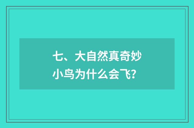 七、大自然真奇妙小鸟为什么会飞？