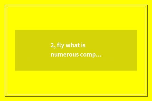 2, fly what is numerous company?
