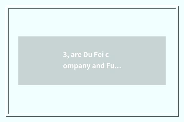 3, are Du Fei company and Fu Fei company a person?