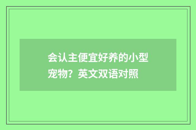 会认主便宜好养的小型宠物?英文双语对照