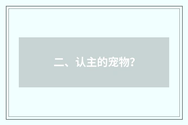 二、认主的宠物?